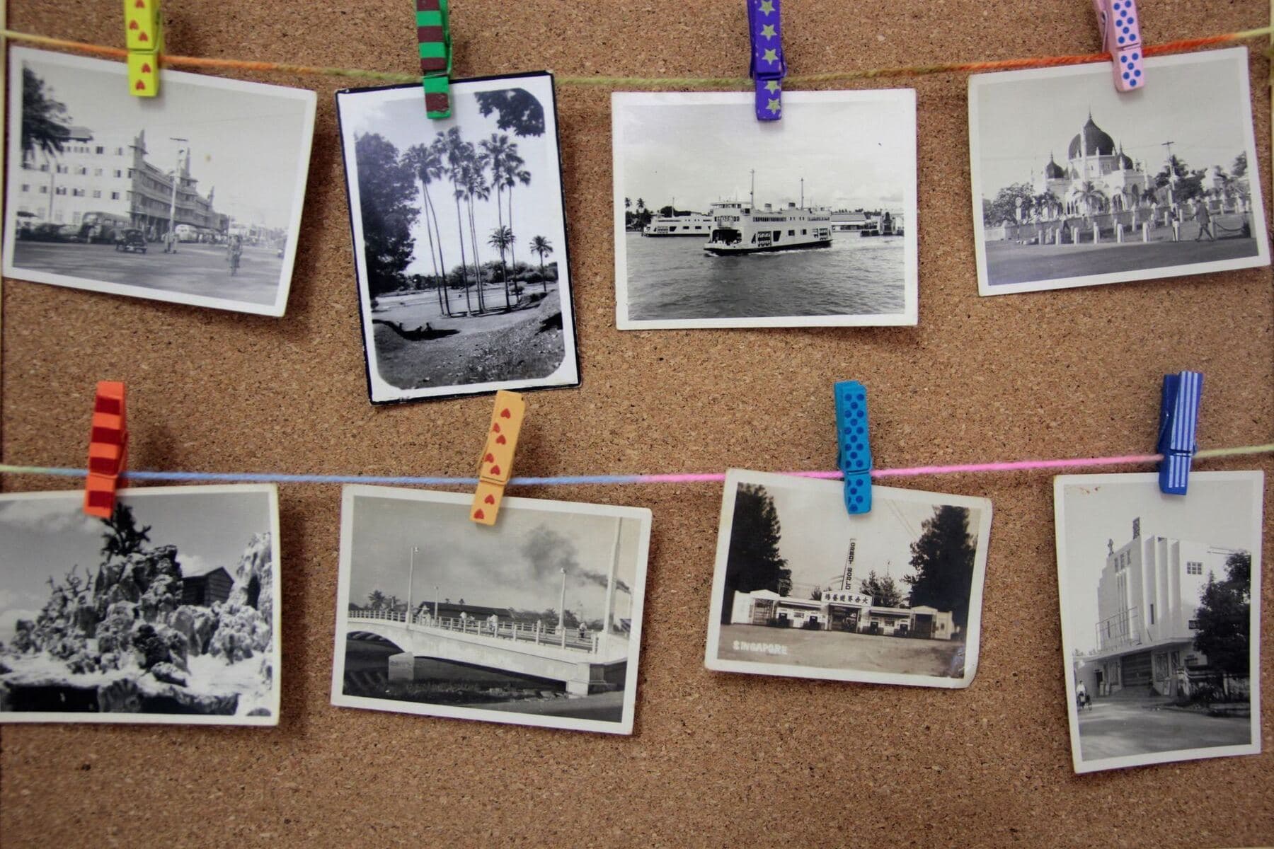 Corkboard with photographs pinned to it