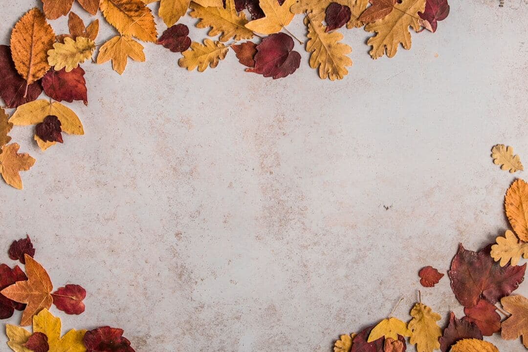 Autumn seasonal flat lay used for trend planning