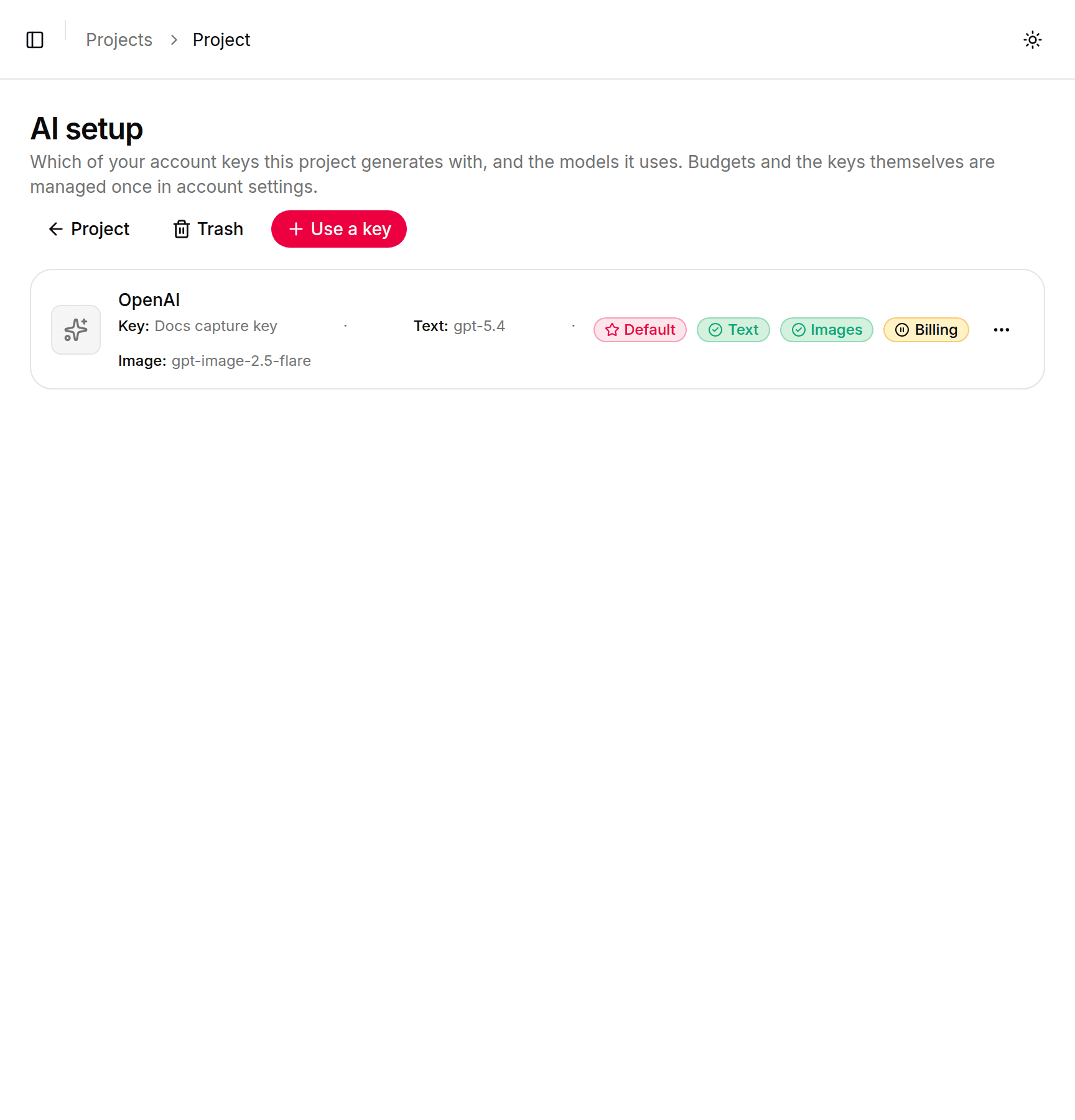 The project's AI page showing it already bound to the key